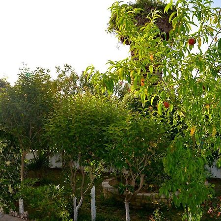 Kostas' Garden Apartment Рода Екстериор снимка