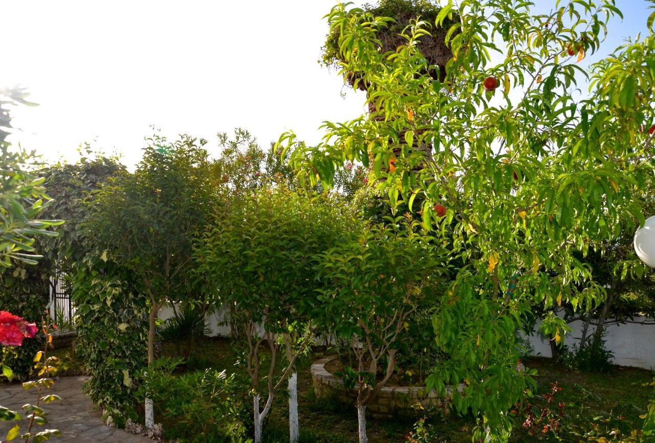 Kostas' Garden Apartment Рода Екстериор снимка